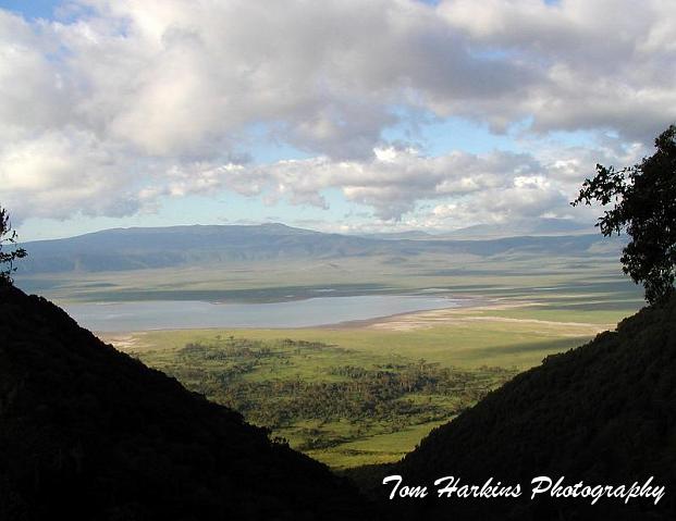 View of the crater from above.jpg